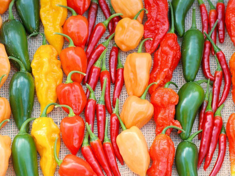 Pepper quality